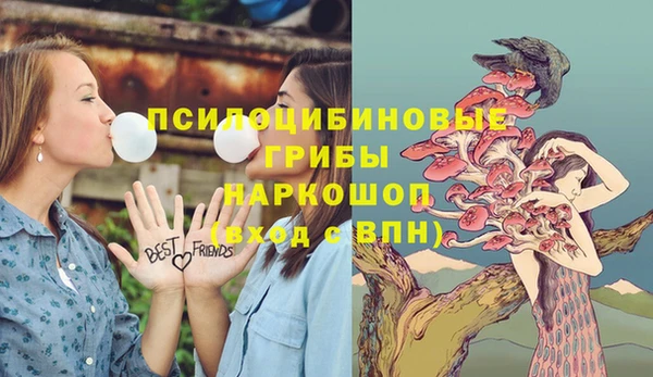mix Новодвинск