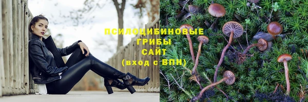 соль курить ск Новозыбков