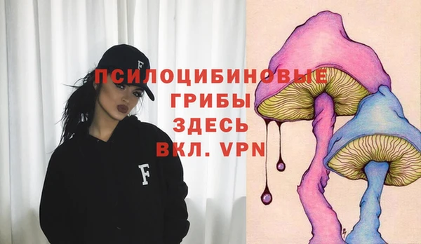 mix Новодвинск