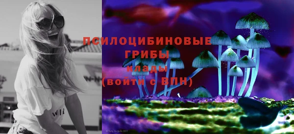 mix Новодвинск